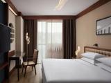 Executive Club Lounge Access Double Guest room