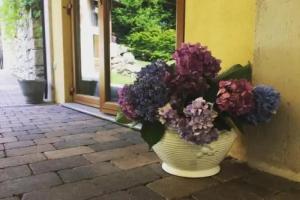 Farm Stay «Agriturismo BioMatto», Arona