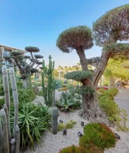 Biblos Resort Alaçatı - 34