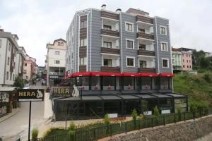Apartment Hotels