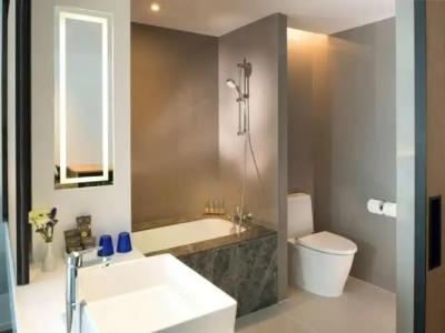 Novotel Bangkok Sukhumvit 4 - 45