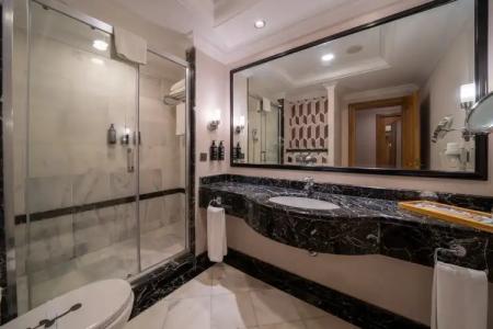 Asteria Kemer Resort - 59