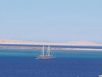 Lilly Apartments - 300