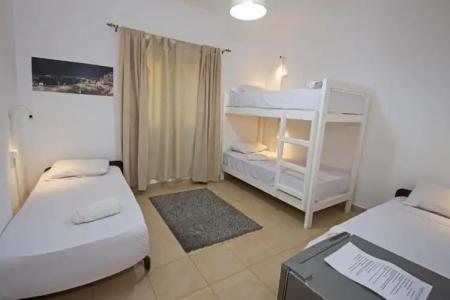 Lilly Apartments - 113