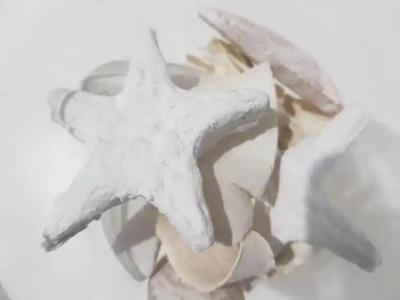 Lilly Apartments - 303