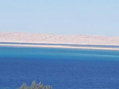 Lilly Apartments - 285