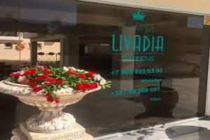 Livadhia - Where to stay
