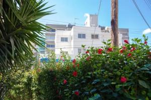 Laila's Promenade Villa, Larnaka