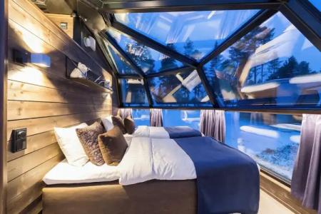 Arctic Fox Igloos - 3