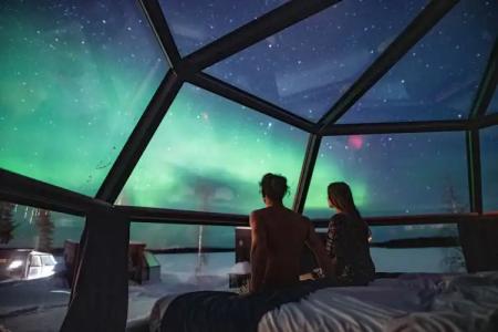 Arctic Fox Igloos - 15