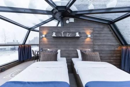 Arctic Fox Igloos - 5