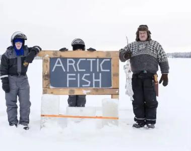 Arctic Fox Igloos - 12