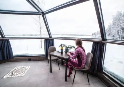 Arctic Fox Igloos - 6