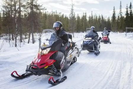 Arctic Fox Igloos - 2