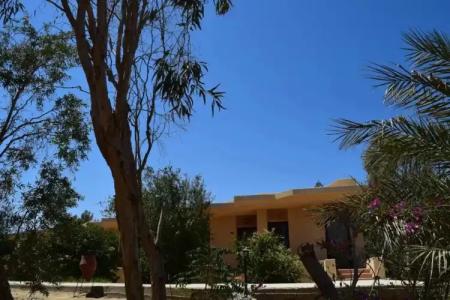 Mangrove Bay Resort - 8