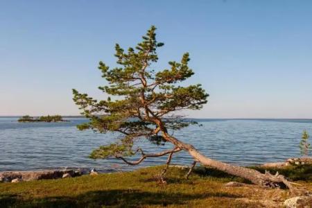 Wilderness Inari & Igloos - 5