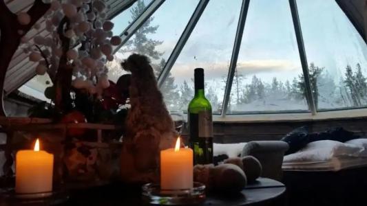 Wilderness Inari & Igloos - 31