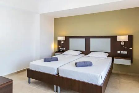 White Olive Premium Laganas - 105