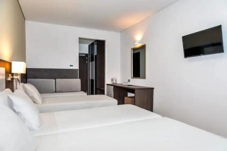 White Olive Premium Laganas - 101