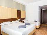 Standard Triple room with balcony and with land view