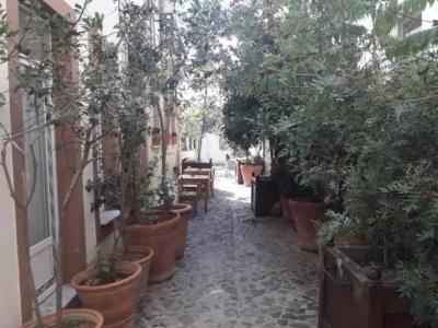 Şirin pansiyon - 18