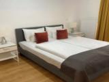 1 Bedroom Standard Apartment