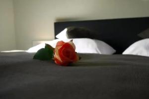 Lutz Motel, Paderborn