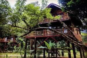 Our Jungle Camp - Eco Resort SHA Certified, Khao Sok