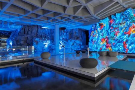 Royal Hideaway Corales Suites - 20