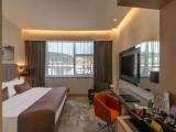 Standard Double Club room