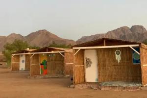 Alwaha Camp, Nuweiba