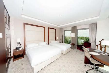 DoubleTree by Hilton Istanbul Topkapi - 105