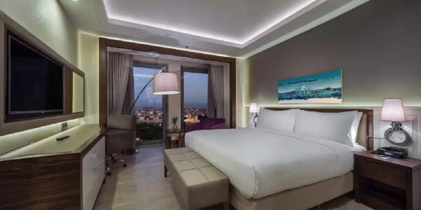 DoubleTree by Hilton Istanbul Topkapi - 100