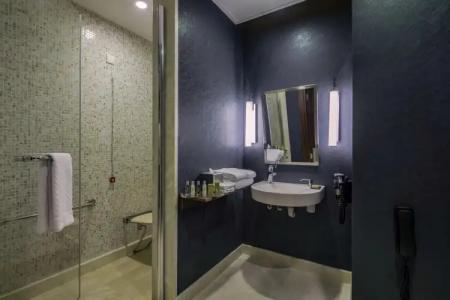 DoubleTree by Hilton Istanbul Topkapi - 133