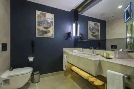 DoubleTree by Hilton Istanbul Topkapi - 117