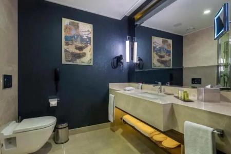 DoubleTree by Hilton Istanbul Topkapi - 104