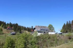 Boutique Hotel Kokoschinski, Feldberg