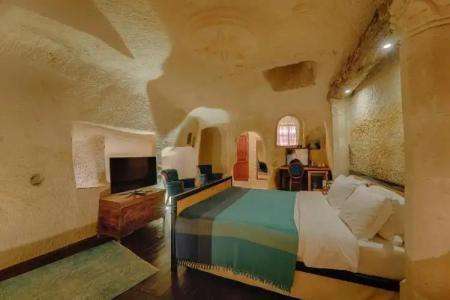 Taru Cave Suites - 221