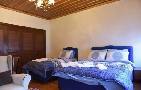 ÖZ Butik Otel Antik Kent Myrleia - 90