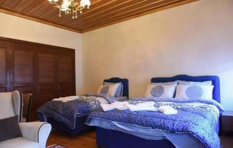 ÖZ Butik Otel Antik Kent Myrleia - 64