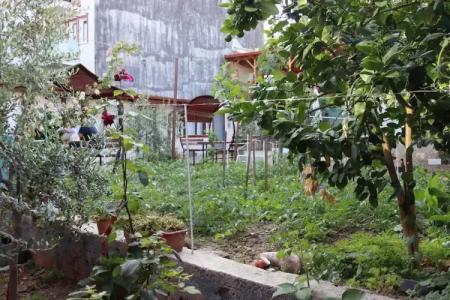 ÖZ Butik Otel Antik Kent Myrleia - 25