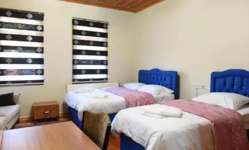 ÖZ Butik Otel Antik Kent Myrleia - 69