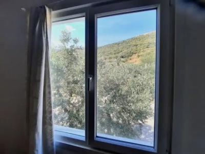 ada-art guesthouse design rooms next to beach - 62