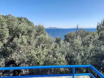 ada-art guesthouse design rooms next to beach - 27