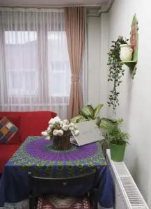 Elele Boutique Aparts - 111