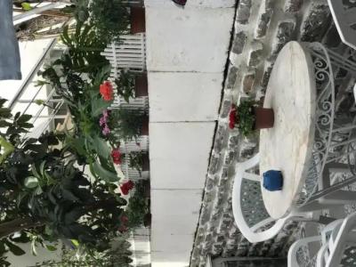 Halikarnas Pansiyon - 8