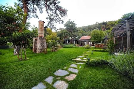 Triada Büyükada - 1