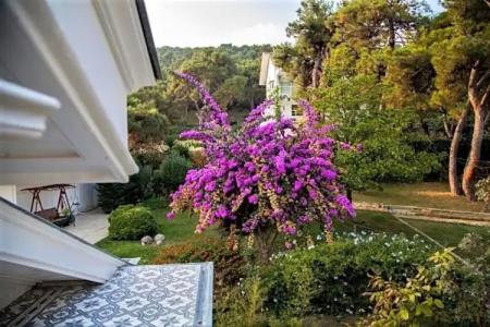 Triada Büyükada - 76