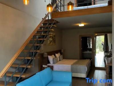 Triada Büyükada - 146