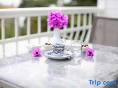 Triada Büyükada - 71